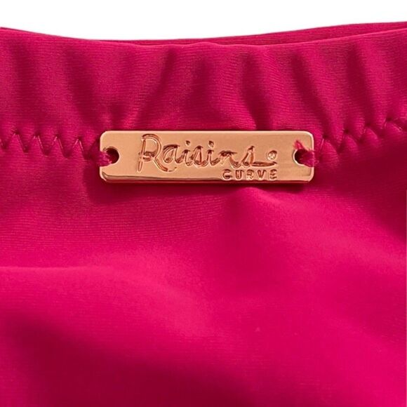 Raisins Curve Swimsuit Bottom in Pink Size 18W - Picture 3 of 10